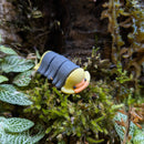 3D Printed - Isopod Rubber Ducky (4cm)