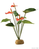 Exo Terra Rainforest Plant (Anthurium Bush)