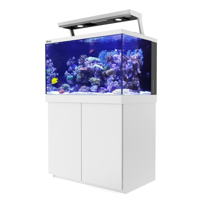 Complete best sale aquarium systems