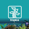 What Arrived & What's Coming Tropica