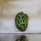 Amphibian - Frog - Pacman Peppermint