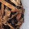 Isopod - Porcellio scaber - Orange (12+ count)