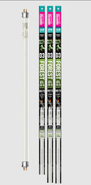 Arcadia T5 HO D3+ Forest Lamp 6% UVB Bulb 22" (24W)
