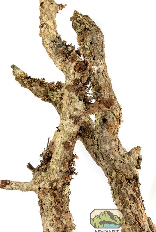 NewCal Cork Branches per lb.