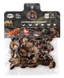 Pro Bugs Dubia Cockroach Bulk Pack - Large (150 g)