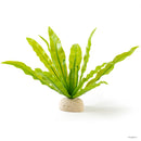 Exo Terra Bird's Nest Fern Plant