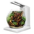 Fluval LIV Microscaping Aquarium Kit - White/Teak - 33 x 31.75 cm (13 x 12.5 in)