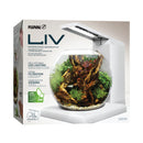 Fluval LIV Microscaping Aquarium Kit - White/Teak - 33 x 31.75 cm (13 x 12.5 in)