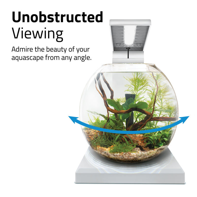 Fluval LIV Microscaping Aquarium Kit - White/Teak - 33 x 31.75 cm (13 x 12.5 in)
