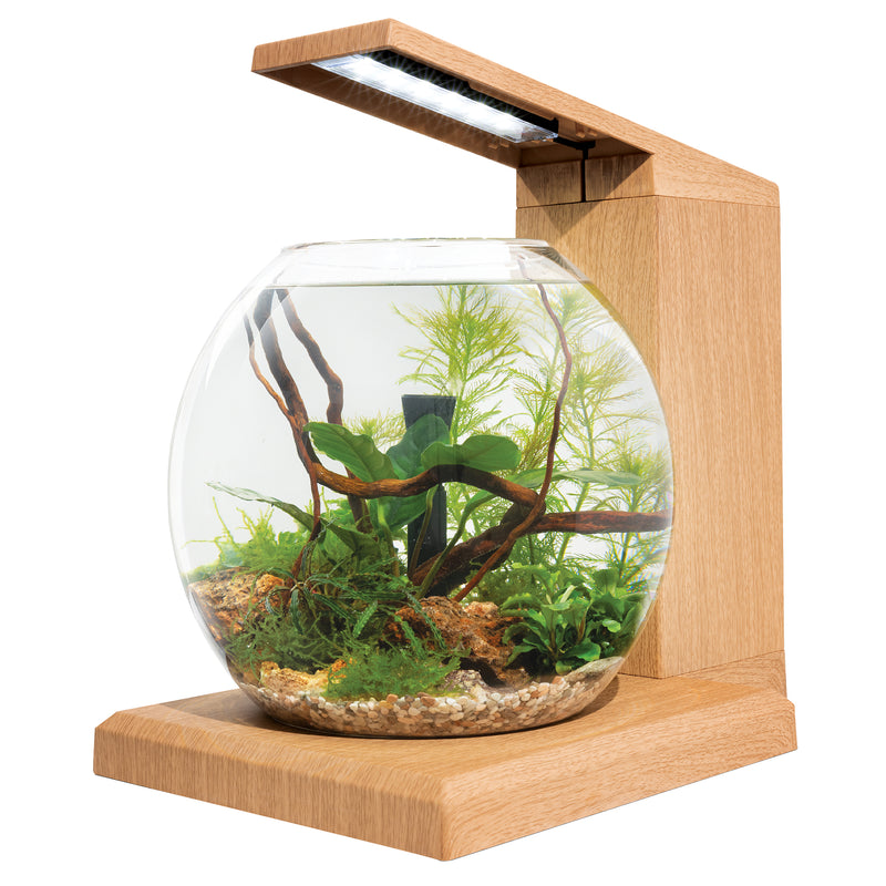 Fluval LIV Microscaping Aquarium Kit - White/Teak - 33 x 31.75 cm (13 x 12.5 in)