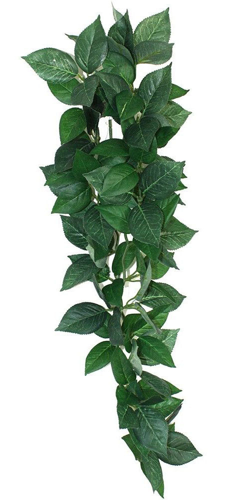 KOMODO Sumatra Hanging Vine 13cm