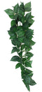 KOMODO Sumatra Hanging Vine 13cm