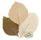 NewCal Teak Leaves 11-14" 10pk