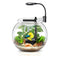 Nubios Desktop Betta Bowl 12L