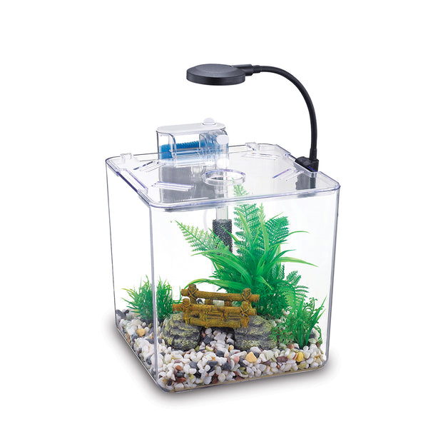 NUBIOS Desktop Betta Bowl-Square 1.32 Gallon NB-132S