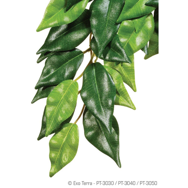 Exo Terra Silk Plant - Ficus - Small