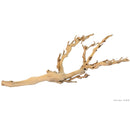 Exo Terra Forest Branch - Sandblasted Grapevine - Small