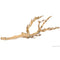 thumbnail image 2 of Decoración Acuarío Exo Terra Forest Branch Gde. 60 Cm 2 of 13