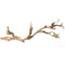 Exo Terra Forest Branch - Sandblasted Grapevine - Large 60cm