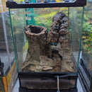 Tarantula -  Trinidad Chevron Full Kit
