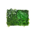 Reptile Treasures Plant Mat - 24"x16"