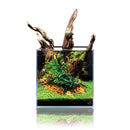 UNS Rimless Cube Aquarium (in store pickup only)