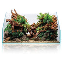 UNS Rimless Paludarium (in store pickup only)