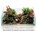 UNS Rimless Paludarium (in store pickup only)