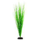 Underwater Treasures Hairgrass 24"