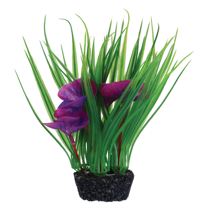 Underwater Treasures Luna Lily Purple 7"