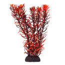 Underwater Treasures Rotala Indica 8"