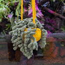Hanging Plant - Handmade Crochet Large (55cm)