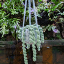 Hanging Plant - Handmade Crochet Large (55cm)