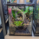 Lizard - Gecko - Island Least Full Kit