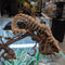 3D Printed - Centipede Brown (40cm)