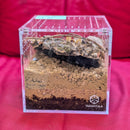 Spider - Camel Sun Striped - Full Kit