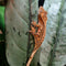 Lizard - Gecko - Crested