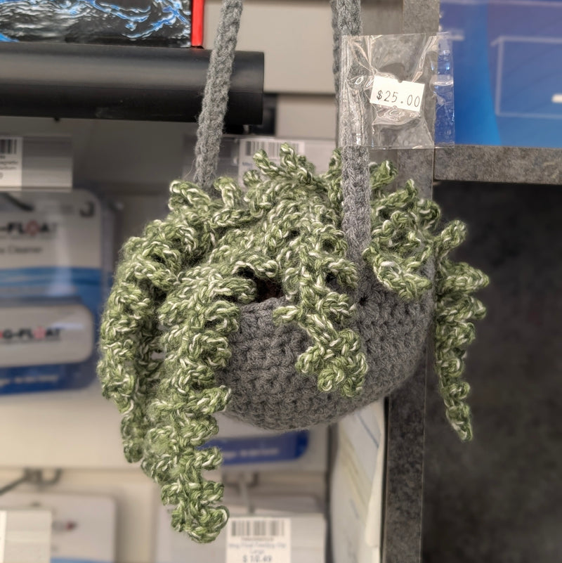 Hanging Fern - Handmade Crochet
