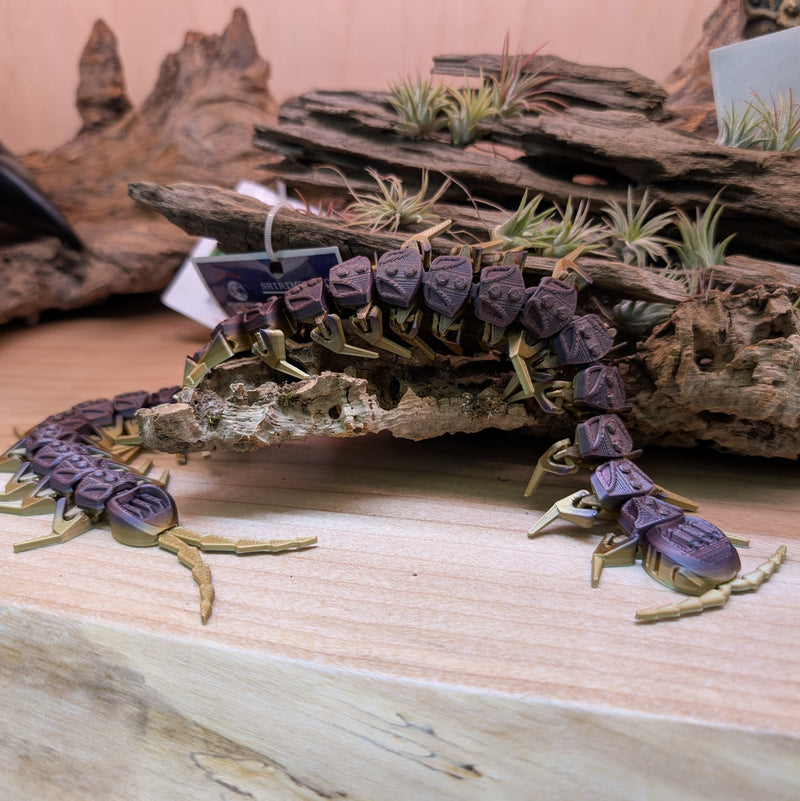 3D Printed - Centipede Purple (40cm)