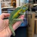Lizard - Chameleon - Rainbow Jackson's