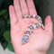 Lizard - Gecko - Leopard Hypo Snow