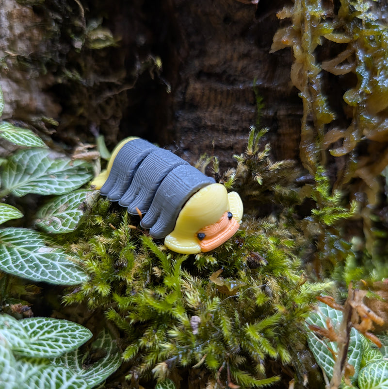 3D Printed - Isopod Rubber Ducky (4cm)