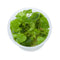 1-2-Grow! Nymphoides hydrophylla Taiwan*