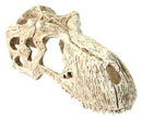Komodo T-Rex Skull Small 15x8x5cm