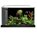 Fluval Spec Kit 19L/5G (Black)