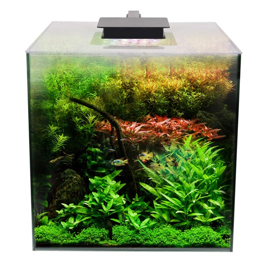 Best 60 Gallon Fish Tank - Complete Set Up for sale in Belvidere, Illinois  for 2024