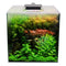 Fluval Flora Plant Kit 54.8L/14.5G