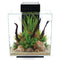 Fluval EDGE Kit 46L/12G (Black)