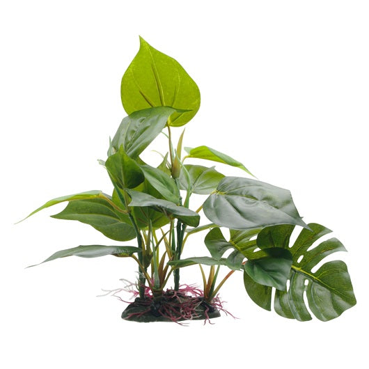 Fluval Decorative Plants - Anubias 8"/20cm with base
