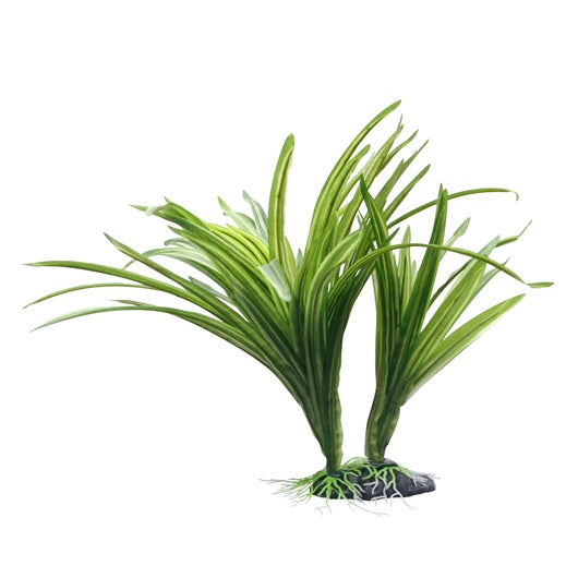 Fluval Decorative Plants - Striped Acorus 10"/25 cm with base
